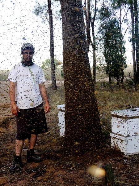 XX Biesiada u&nbsp;Bartnika cz.&nbsp;2 – Przygoda z&nbsp;australijską pszczołą