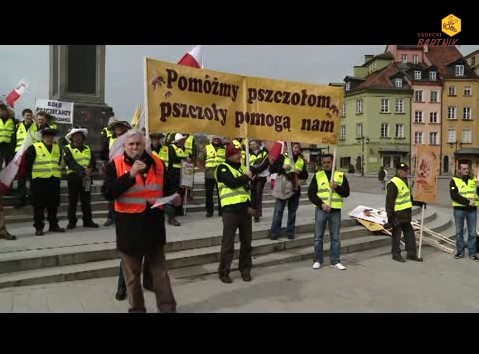 Marsz w&nbsp;relacji filmowej