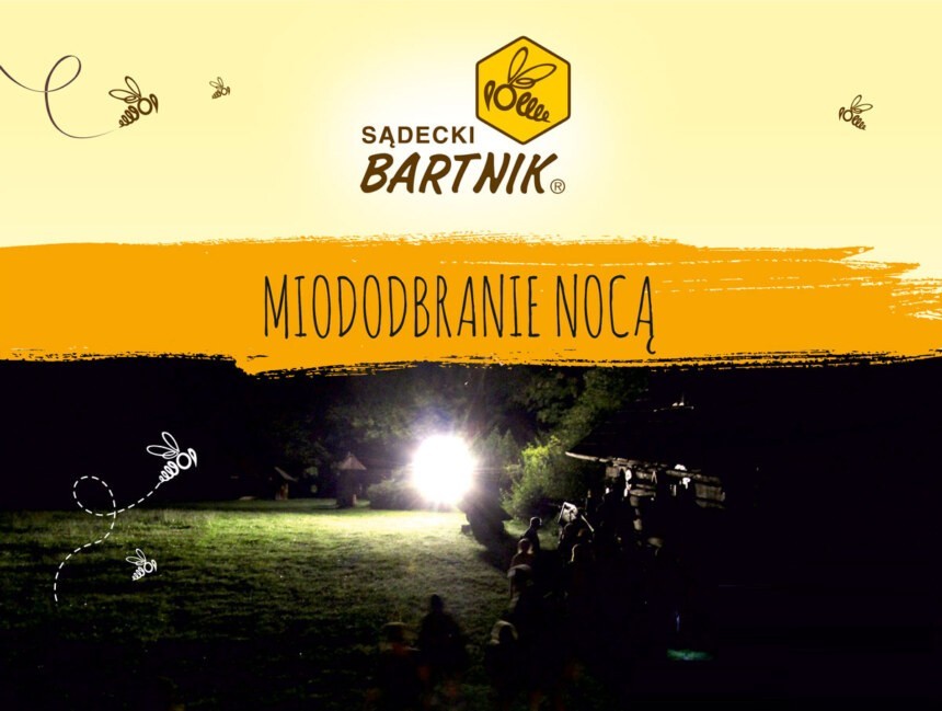 Sierpniowe miodobranie nocą