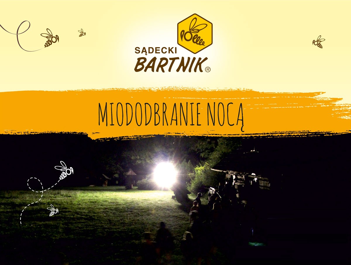 Sierpniowe miodobranie nocą