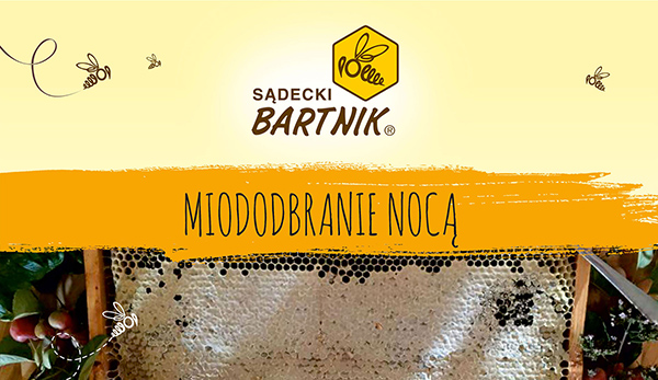 Miodobranie nocą