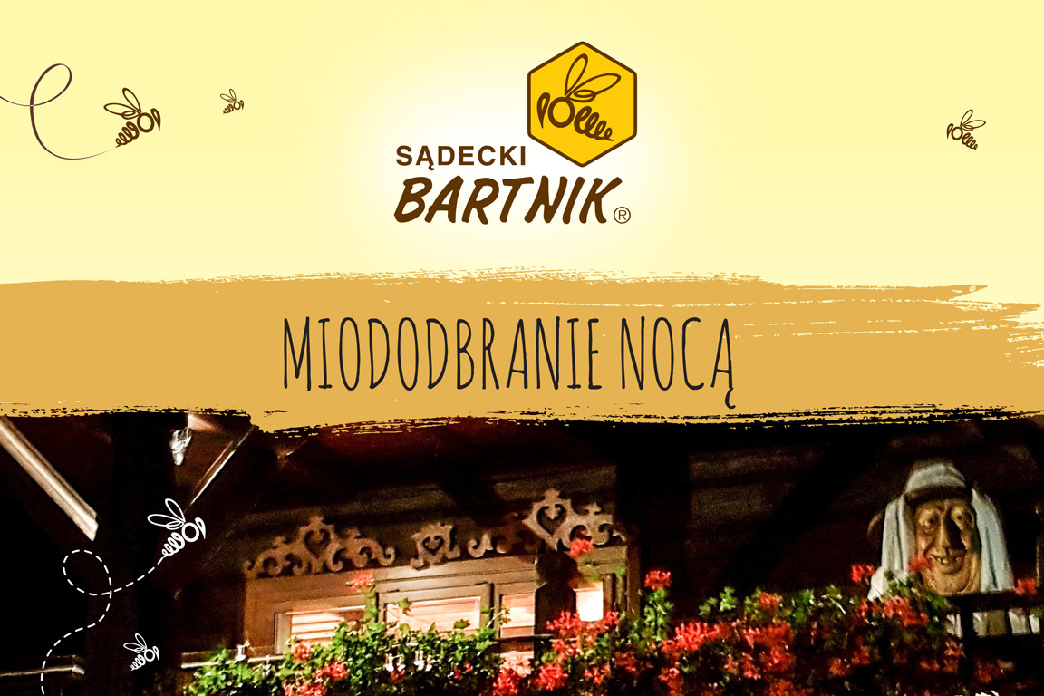 Miodobranie nocą