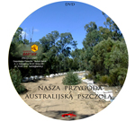 Nasza przygoda z australijską pszczołą