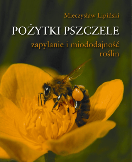 Nowości wydawnicze