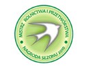 Srebrna jaskółka