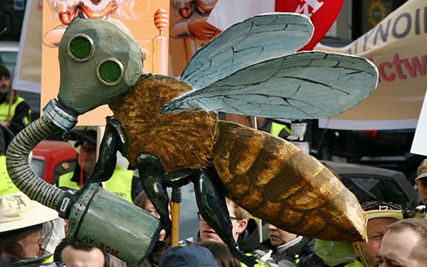 Pestycydy zabijają pszczoły
