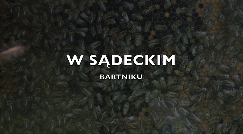 W&nbsp;Sądeckim Bartniku – kolejny odcinek