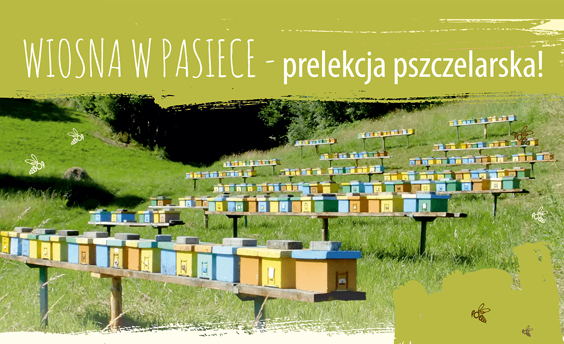 Wiosna w&nbsp;pasiece – Zapraszamy na&nbsp;prelekcję pszczelarską!