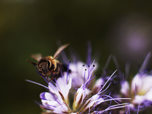 fotokonkurs_2011_rr_sm