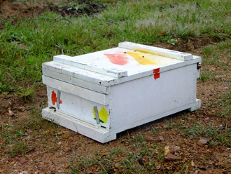 beeaustralia_14_sm