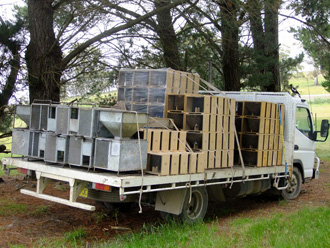 beeaustralia_16_sm