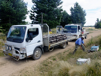 beeaustralia_22_sm