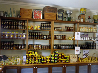 beeaustralia_38_sm