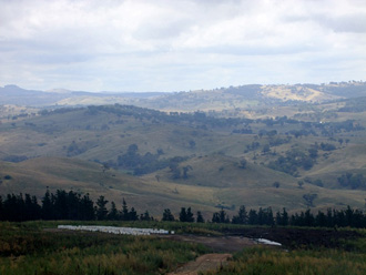 beeaustralia_4_sm