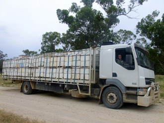 beeaustralia_6_sm