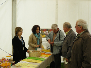 bxx_9_sm