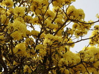 apiexpo_pasieki2011_002