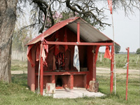 apiexpo_pasieki2011_005