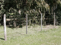 apiexpo_pasieki2011_008
