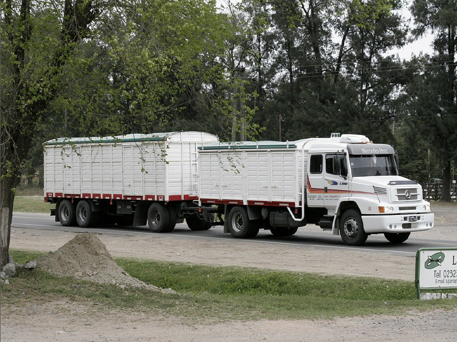 apiexpo_pasieki2011_011