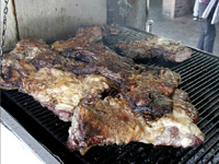 apiexpo_pasieki2011_013