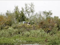 apiexpo_pasieki2011_014