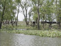 apiexpo_pasieki2011_017