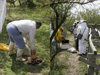 apiexpo_pasieki2011_020