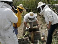 apiexpo_pasieki2011_022