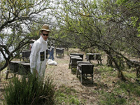 apiexpo_pasieki2011_047