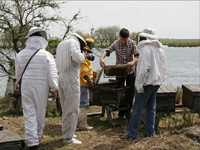 apiexpo_pasieki2011_026