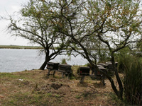 apiexpo_pasieki2011_027