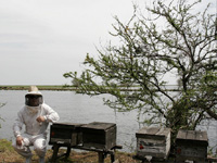 apiexpo_pasieki2011_028