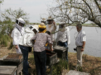 apiexpo_pasieki2011_029