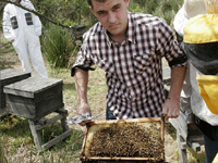 apiexpo_pasieki2011_030