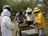 apiexpo_pasieki2011_031