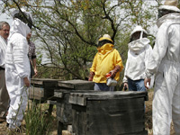 apiexpo_pasieki2011_032