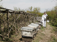 apiexpo_pasieki2011_034