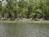 apiexpo_pasieki2011_037