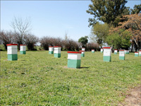 apiexpo_pasieki2011_038