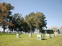 apiexpo_pasieki2011_040