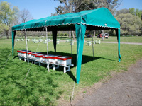 apiexpo_pasieki2011_041