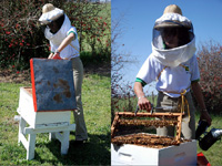 apiexpo_pasieki2011_044