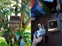 apiexpo_pasieki2011_049