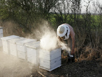 apiexpo_pasieki2011_054