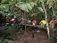 apiexpo_pasieki2011_058