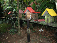 apiexpo_pasieki2011_062