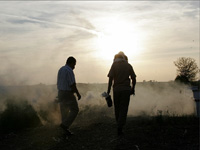 apiexpo_pasieki2011_065