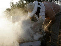 apiexpo_pasieki2011_003
