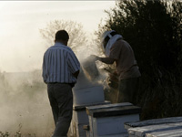 apiexpo_pasieki2011_072